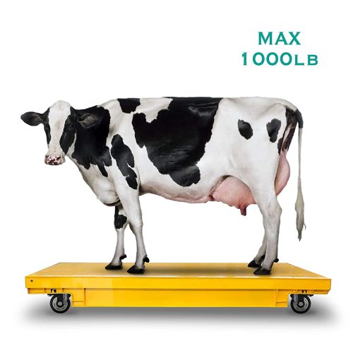 Ρόδα 3 ίντσες με φρένο.