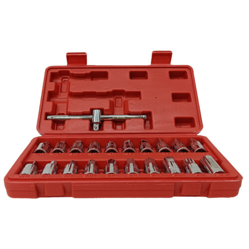 Συλλογή ταπόκλειδα λαδιού 21 τεμαχίων SKS/TOOLS 40000926.