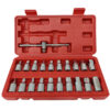 Συλλογή ταπόκλειδα λαδιού 21 τεμαχίων SKS/TOOLS 40000926.